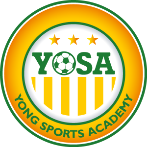 Young Sports Academy Logo Vector