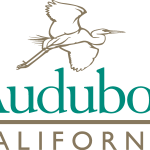 Audubon California Logo Vector