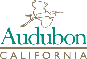 Audubon California Logo Vector