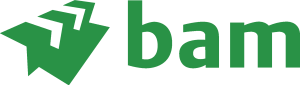 BAM new Logo Vector