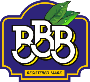 BBB new Logo Vector