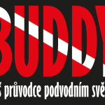 BUDDY  new Logo Vector