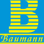 Baumann Informatica Logo Vector