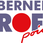 Berner Profi Point Logo Vector