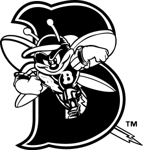 Binghamton Mets black Logo Vector