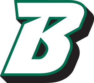 Binghamton University Logo Vector