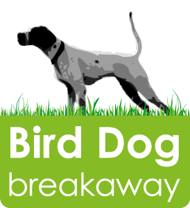 Bird Dog Breakaway Logo Vector