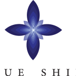 Blue Shine Logo Vector