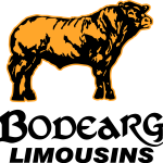 Bodearg Limousins Logo Vector