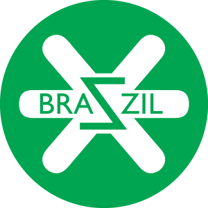 Braszil Design Logo Vector