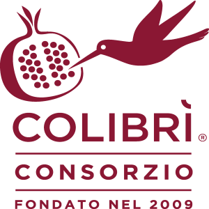 Consorzio Colibrì Logo Vector