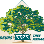 Emondeurs Tree Management Logo Vector