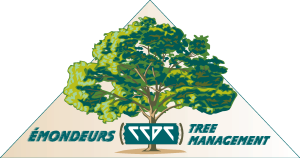 Emondeurs Tree Management Logo Vector