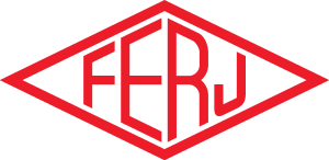Federacao de Futebol do Estado do Rio de Janeiro Logo Vector