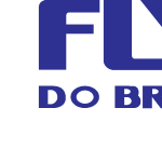 Flygt do Brasil Logo Vector