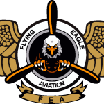 Flying Eagle Aviation Logo Vector