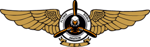 Flying Eagle Aviation Logo Vector