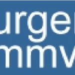 Hamburger Schwimmverband Logo Vector