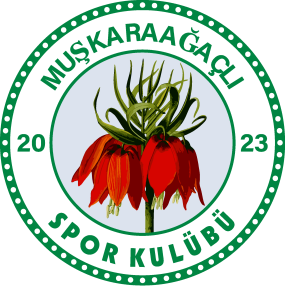 Karaağaçlıspor Logo Vector