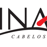 Lina Cabelos Logo Vector