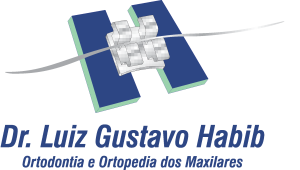 Luiz Gustavo Habib Logo Vector