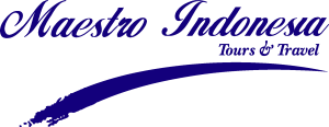 Maestro Tours & Travel Logo Vector