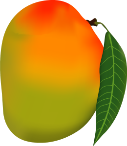 Mango Mesh Logo Vector