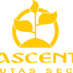 Nascente Logo Vector