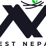 Nest Nepal Business Solutions Logo Vector