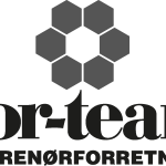 Nor team enterprenoforreting Logo Vector