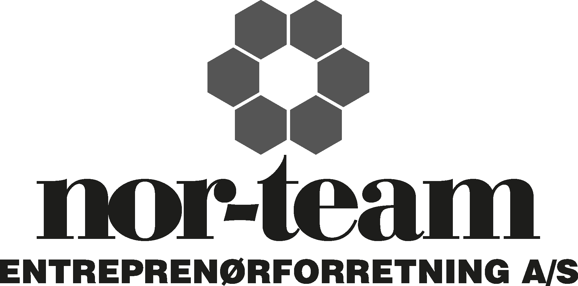 Nor team enterprenoforreting Logo Vector