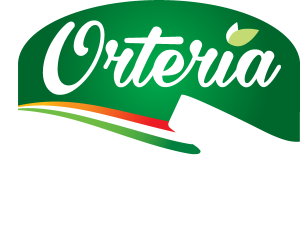 Orteria Logo Vector