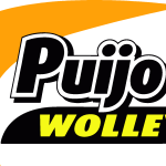 Puijo Wolley Logo Vector