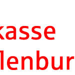 Sparkasse Mecklenburg Strelitz Logo Vector