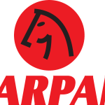 Tarpan Logo Vector