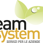 Team System servizi per le imprese Logo Vector