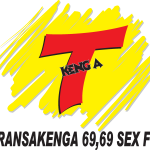 Transakenga Logo Vector