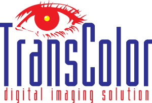 Transcolor Logo Vector