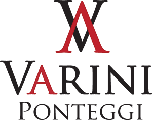 Varini Ponteggi Logo Vector