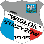 Wisłok Strzyżów Logo Vector