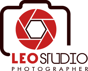 leo studio photographer Logo Vector