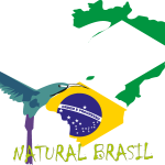 natural brasil Logo Vector