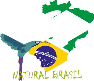 natural brasil Logo Vector