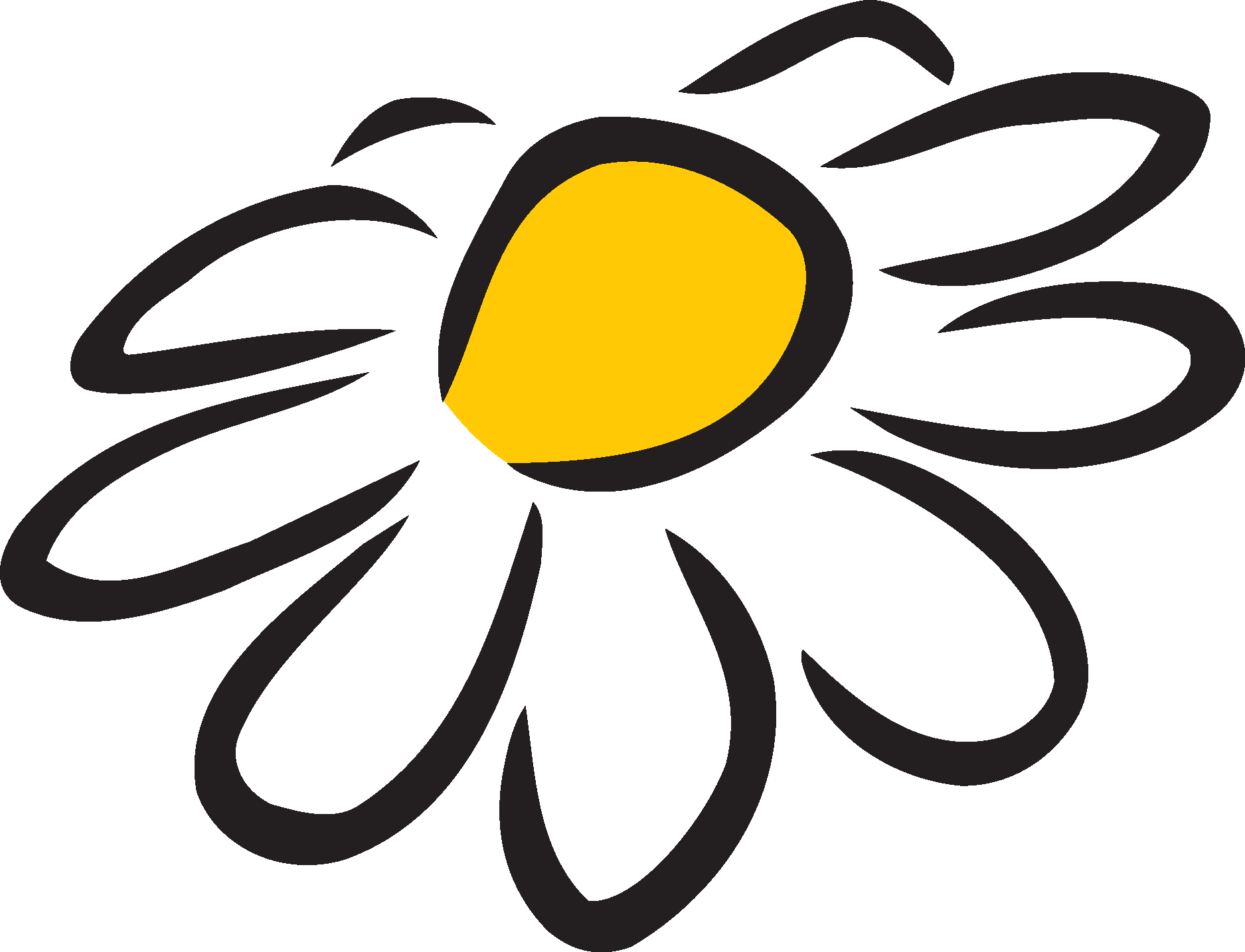 Символ цветка ромашка
