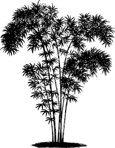 Bamboe Logo Vector