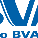 Banco BVA Logo Vector