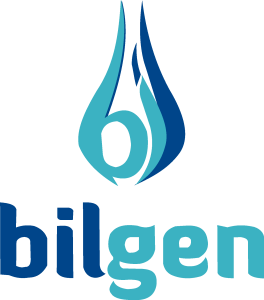 Bilgen Logo Vector