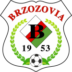 Brzozovia Brzozów Logo Vector