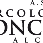 Circolo Tennis Concordia Alcamo Logo Vector