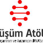 Donusum Atolyesi Logo Vector